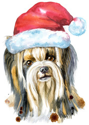 Similar image 21223129