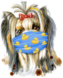 Similar image 21223130