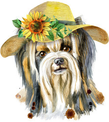 Similar image 21223132