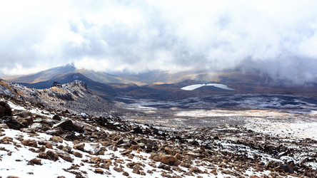 Similar image 21210981