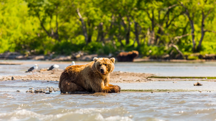 Similar image 21210984