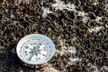 Similar image 21210991