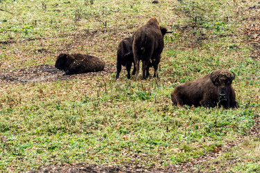 Similar image 21210997