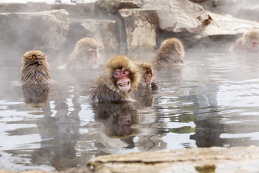 Similar image 21211009