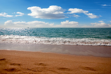 Similar image 21246546