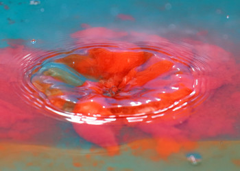 Similar image 21249203