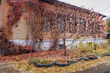 Similar image 21216585