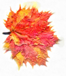 Similar image 21214266