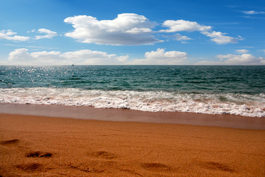 Similar image 21246553