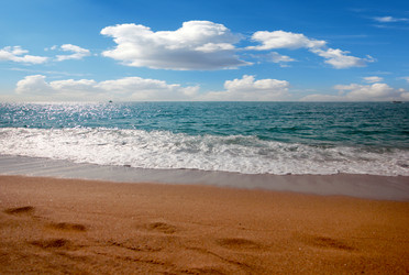 Similar image 21255269