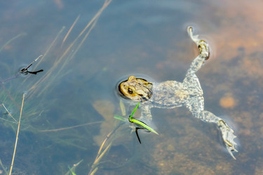 Similar image 21220270