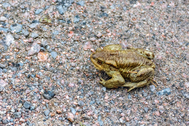 Similar image 21220282