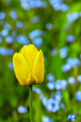 Similar image 21220286