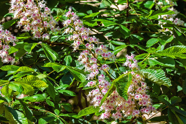 Similar image 21220288