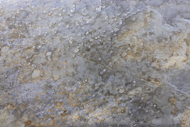 Similar image 21214501