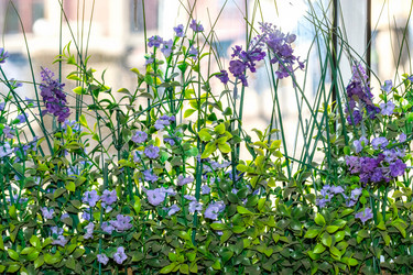 Similar image 21220291