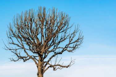 Similar image 21220299