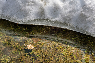 Similar image 21220315