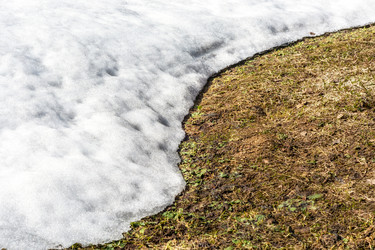 Similar image 21220317