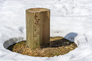 Similar image 21220319