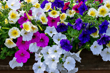 Similar image 21220332