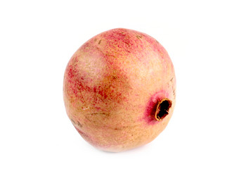 Similar image 21248034