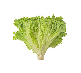 Similar image 21240064