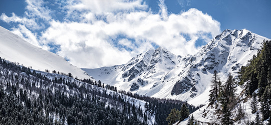 Similar image 21240070