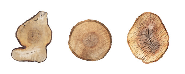 Similar image 21249582