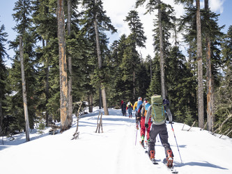 Similar image 21240075