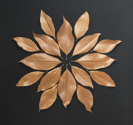 Similar image 21240094