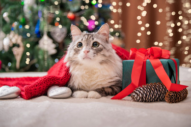 Similar image 21219580