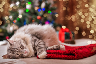 Similar image 21211417