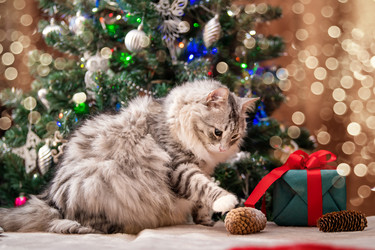 Similar image 21212902