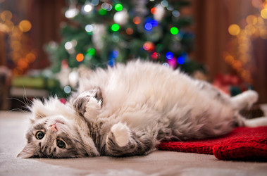 Similar image 21211420