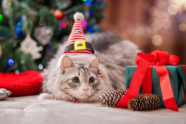 Similar image 21211472