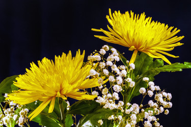 Similar image 21220248