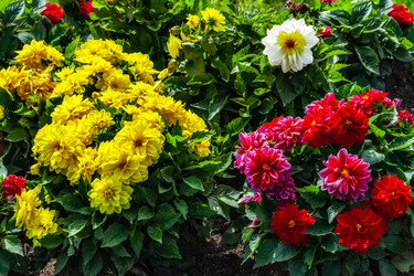 Similar image 21220250