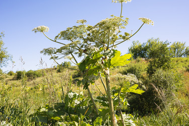 Similar image 21214524