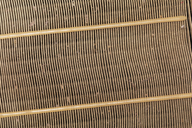 Similar image 21242478