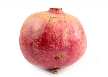 Similar image 21255298