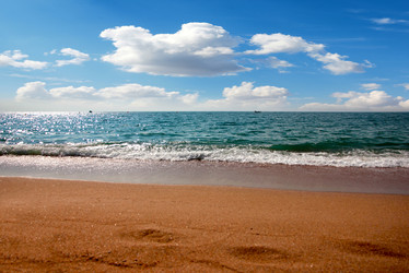 Similar image 21255309