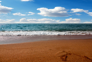 Similar image 21258288