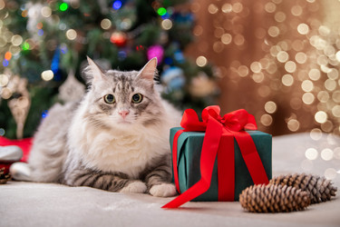 Similar image 21214749