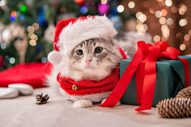 Similar image 21211549