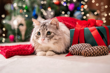 Similar image 21212907