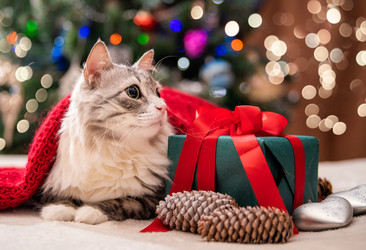 Similar image 21213500