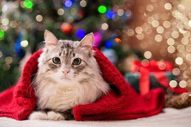 Similar image 21212908