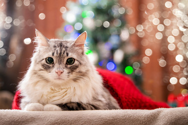 Similar image 21214751