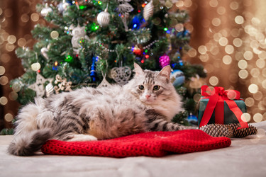 Similar image 21212909